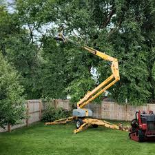 How Our Tree Care Process Works  in  Montgomery Village, MD